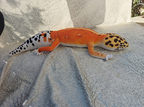 Stor Leopard gecko” plush - Beth Mulligan of Skyfire Creations