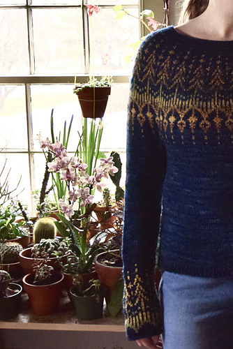 Hinterland - Jennifer Steingass