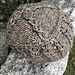 Mock Cable Pillbox pattern 