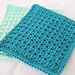 Elegant Dishcloth pattern 