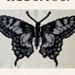 Monochromatic Butterfly pattern