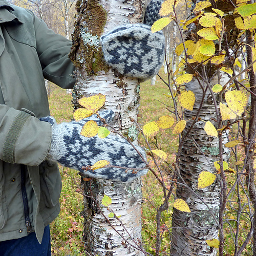 POLAR selbuvotter / selbumittens - MaBe
