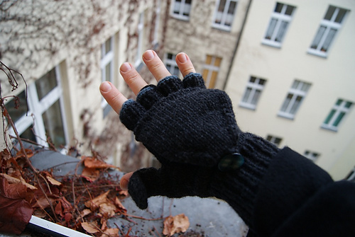Chilly Podsters photo 12