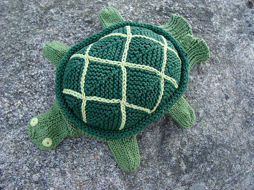 Topher Turtle photo 2