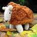 Fraser the Sheep pattern 