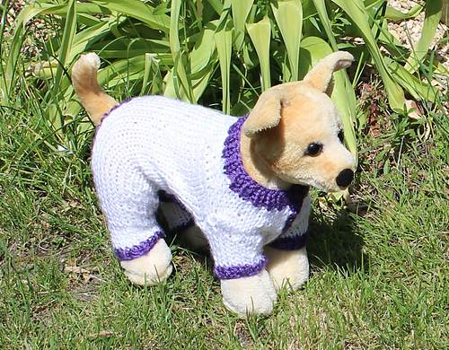 Dog_Simple_Chunky_Onesie12_med