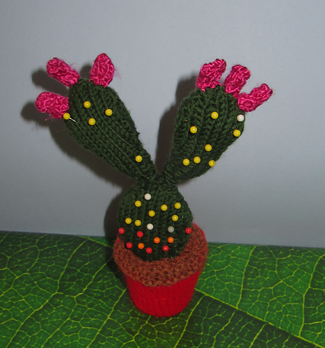 Prickly Pear Cactus Pin Cushion photo 1