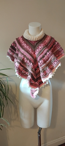 Poncho on Adult Mannequin. Original image.