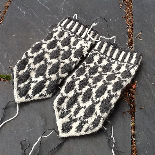 19 Fisken på en Vott - Magdalena Svanberg