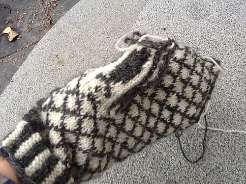 19 Fisken på en Vott - Magdalena Svanberg