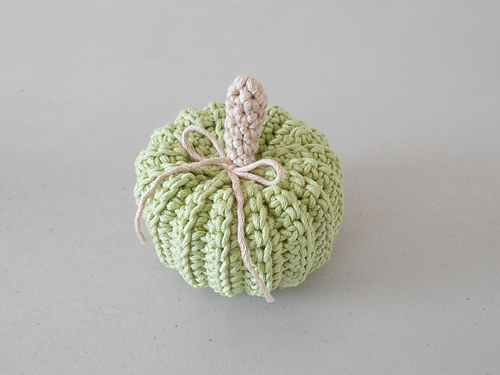 Anima Pumpkin photo 7