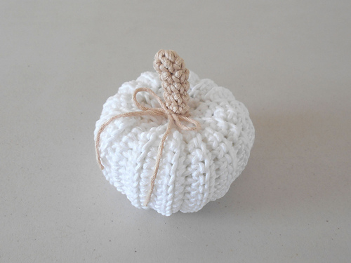 Anima Pumpkin photo 6
