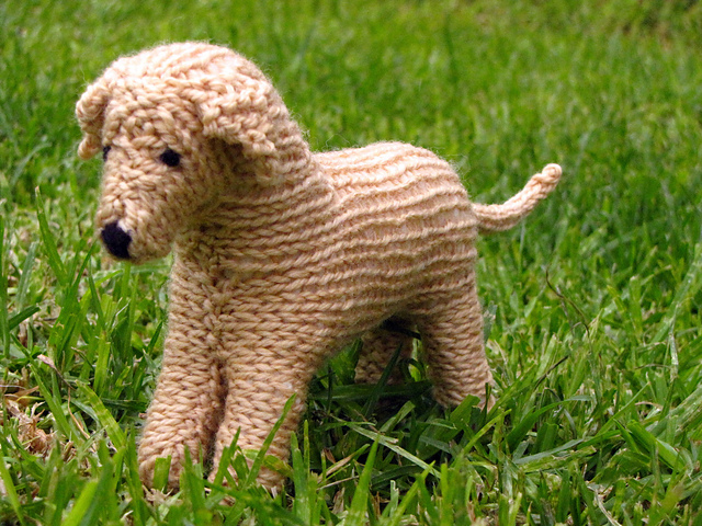 labrador knitting pattern