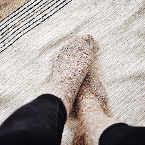 Innta i skogen - Melody Hoffmann