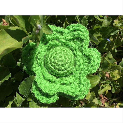 Lettuce Pincushion photo 1