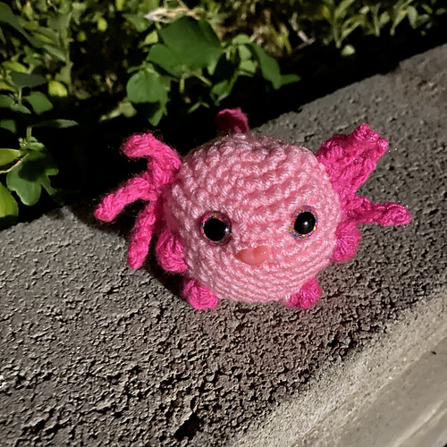 Funny Axolotl photo 2