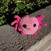 Funny Axolotl photo 3