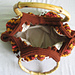 29-210-44 Striped Bag photo 4