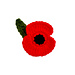 Poppy for Remembrance pattern