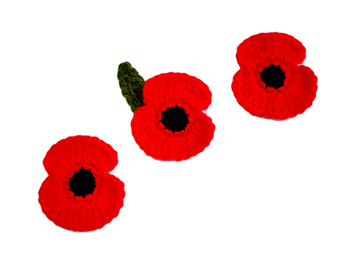 Poppy for Remembrance photo 2