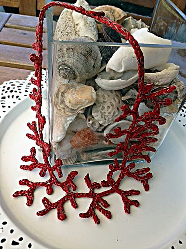 barriera corallina photo 1