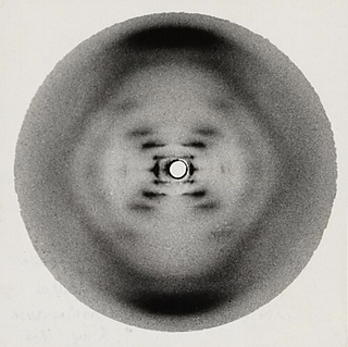 photo by Raymond Gosling and Rosalind Franklin, 1952.