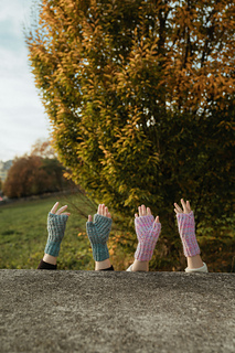 Both: Aran, half brioche