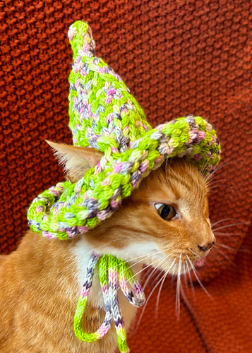 Cat (or stuffie) Witch Hat
