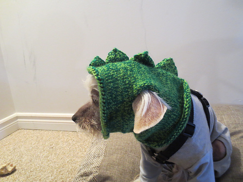 Doggy Dragon Hat (Recipe) photo 1