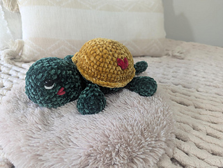Shelly the Turtle