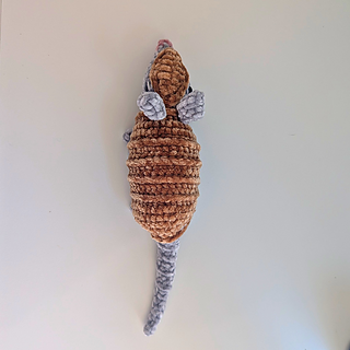 Olivio the Armadillo