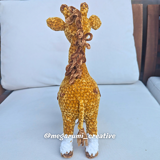 Zoe the Giraffe