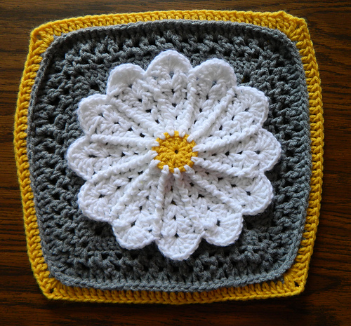 Pane in my Dahlia photo 8