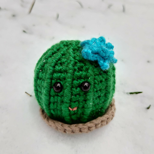 Barrelkaktus - bymontpink