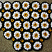 Crocheted Daisy Rug photo 4