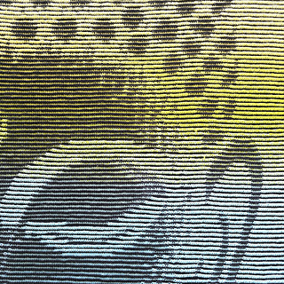 The back of the blanket