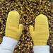 I Want It Mittens pattern 