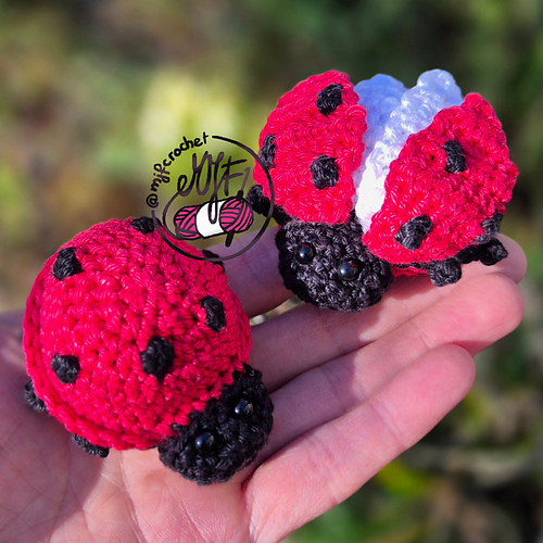 Little ladybug flies