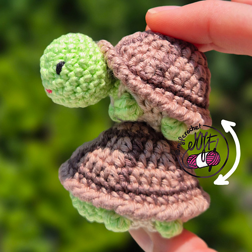 Little turtle