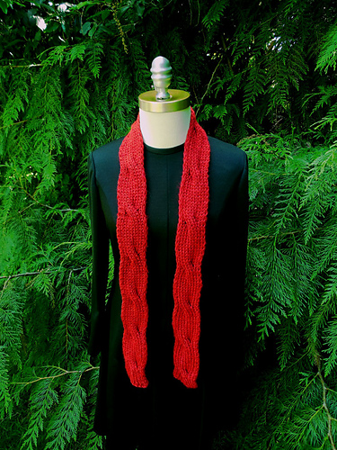 Elegant Reversible Cable Scarf photo 1