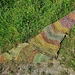 Corncrake pattern 