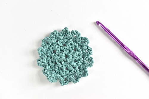 Frilly Face Scrubbies photo 3