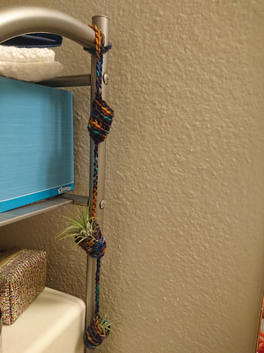 Itsy Bitsy Tiered Air Plant Hanger photo 2