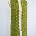 Meadow Vine Reversible Cable Scarf photo 4