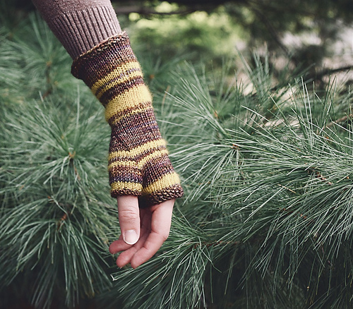 Bee's Knees Fingerless Gloves photo 1