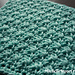 Michelle's Dishcloth photo 4