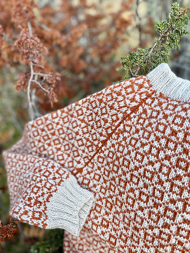 Storebror Genser adulte - Marita Thuve