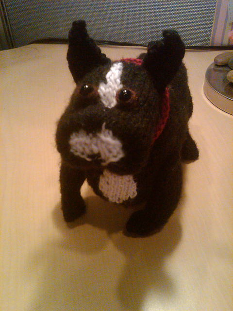 french bulldog knitting pattern