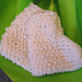 Easy Baby Booties photo 4