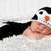 Penguin Photo Prop pattern 